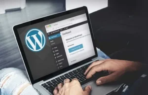 WordPress developer expert