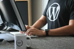 WordPress developer expert