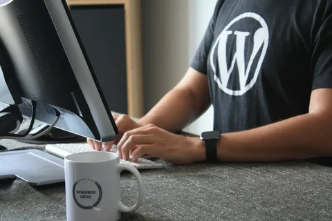 WordPress developer expert