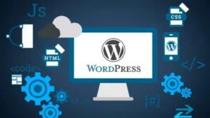 WordPress developer expert